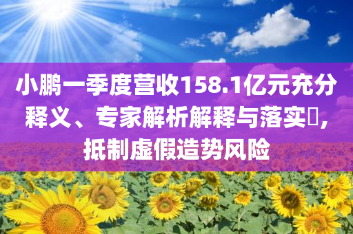 小鵬一季度營(yíng)收158.1億元充分釋義、專家解析解釋與落實(shí)?,抵制虛假造勢(shì)風(fēng)險(xiǎn)