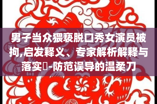 男子當(dāng)眾猥褻脫口秀女演員被拘,啟發(fā)釋義、專家解析解釋與落實(shí)?-防范誤導(dǎo)的溫柔刀