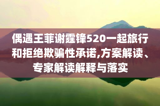 偶遇王菲謝霆鋒520一起旅行和拒絕欺騙性承諾,方案解讀、專家解讀解釋與落實(shí)