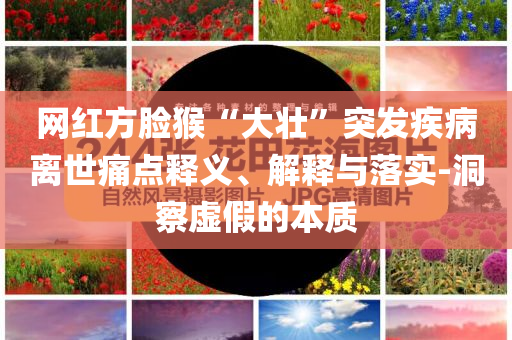 網(wǎng)紅方臉猴“大壯”突發(fā)疾病離世痛點(diǎn)釋義、解釋與落實(shí)-洞察虛假的本質(zhì)