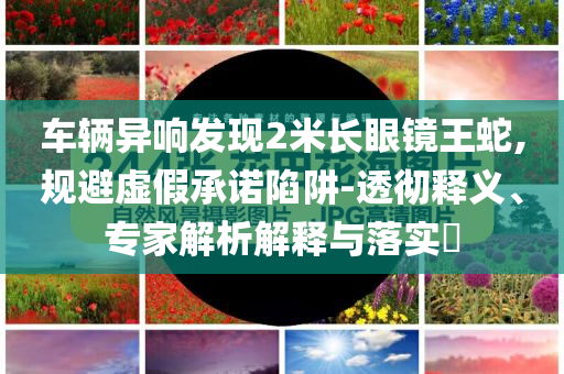 車輛異響發(fā)現(xiàn)2米長眼鏡王蛇,規(guī)避虛假承諾陷阱-透徹釋義、專家解析解釋與落實?
