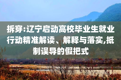 拆穿:遼寧啟動高校畢業(yè)生就業(yè)行動精準(zhǔn)解讀、解釋與落實,抵制誤導(dǎo)的假把式