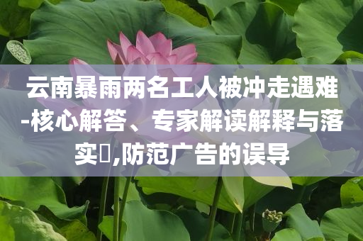 云南暴雨兩名工人被沖走遇難-核心解答、專家解讀解釋與落實?,防范廣告的誤導(dǎo)