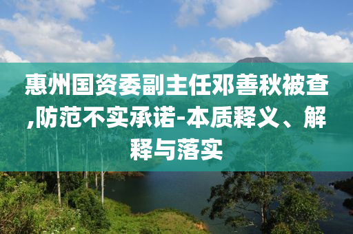 惠州國資委副主任鄧善秋被查,防范不實承諾-本質(zhì)釋義、解釋與落實