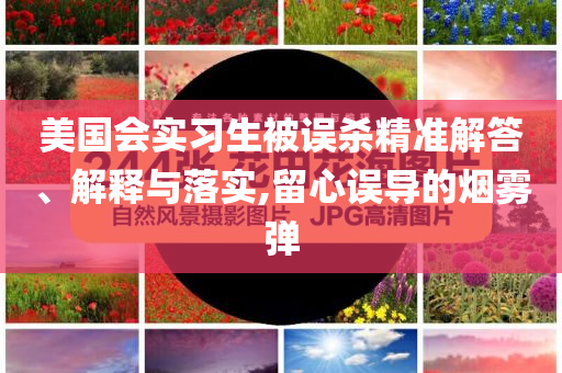 美國會實(shí)習(xí)生被誤殺精準(zhǔn)解答、解釋與落實(shí),留心誤導(dǎo)的煙霧彈