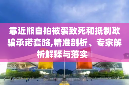 靠近熊自拍被襲致死和抵制欺騙承諾套路,精準(zhǔn)剖析、專家解析解釋與落實(shí)?