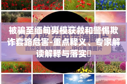 被騙至緬甸男模獲救和警惕欺詐套路危害-重點(diǎn)釋義、專家解讀解釋與落實(shí)?