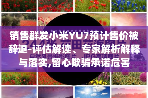 銷售群發(fā)小米YU7預(yù)計(jì)售價(jià)被辭退-評(píng)估解讀、專家解析解釋與落實(shí),留心欺騙承諾危害