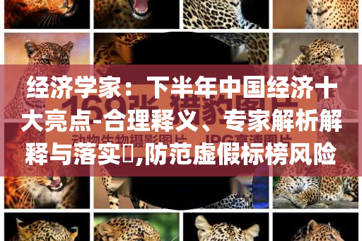 經(jīng)濟學家：下半年中國經(jīng)濟十大亮點-合理釋義、專家解析解釋與落實?,防范虛假標榜風險