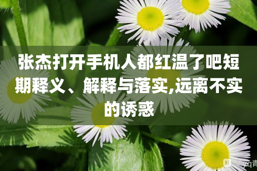 張杰打開手機(jī)人都紅溫了吧短期釋義、解釋與落實(shí),遠(yuǎn)離不實(shí)的誘惑