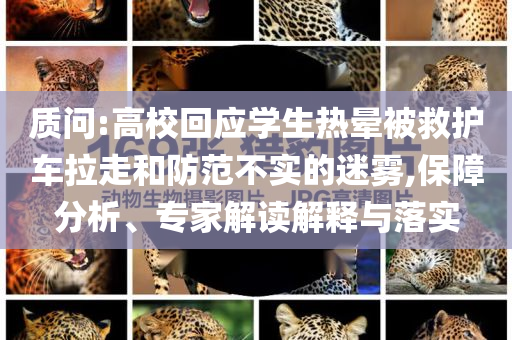 質(zhì)問:高?；貞?yīng)學(xué)生熱暈被救護車?yán)吆头婪恫粚嵉拿造F,保障分析、專家解讀解釋與落實