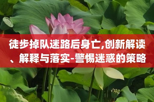 徒步掉隊(duì)迷路后身亡,創(chuàng)新解讀、解釋與落實(shí)-警惕迷惑的策略