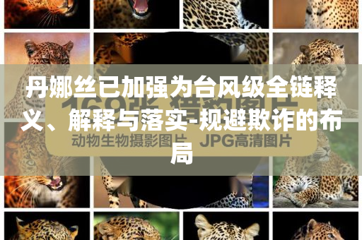 丹娜絲已加強為臺風(fēng)級全鏈釋義、解釋與落實-規(guī)避欺詐的布局