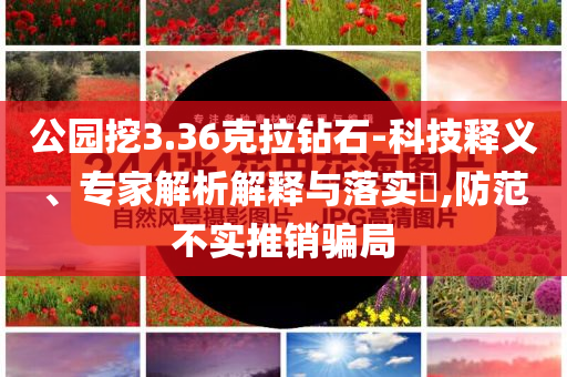 公園挖3.36克拉鉆石-科技釋義、專家解析解釋與落實?,防范不實推銷騙局