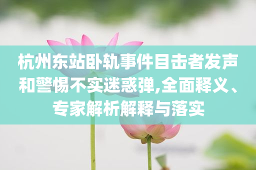 杭州東站臥軌事件目擊者發(fā)聲和警惕不實迷惑彈,全面釋義、專家解析解釋與落實