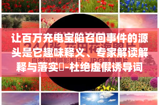 讓百萬充電寶陷召回事件的源頭是它趣味釋義、專家解讀解釋與落實?-杜絕虛假誘導詞