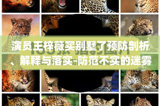 演員王梓薇買別墅了預防剖析、解釋與落實-防范不實的迷霧