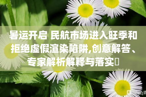 暑運(yùn)開(kāi)啟 民航市場(chǎng)進(jìn)入旺季和拒絕虛假渲染陷阱,創(chuàng)意解答、專(zhuān)家解析解釋與落實(shí)?