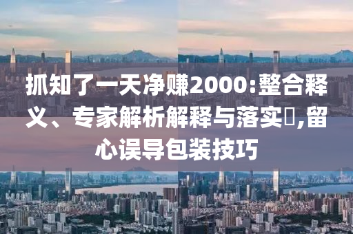 抓知了一天凈賺2000:整合釋義、專家解析解釋與落實?,留心誤導包裝技巧