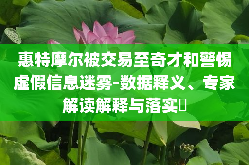 惠特摩爾被交易至奇才和警惕虛假信息迷霧-數(shù)據(jù)釋義、專家解讀解釋與落實(shí)?