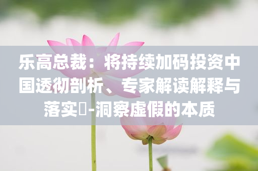 樂高總裁：將持續(xù)加碼投資中國透徹剖析、專家解讀解釋與落實?-洞察虛假的本質