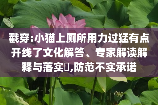戳穿:小貓上廁所用力過猛有點開線了文化解答、專家解讀解釋與落實?,防范不實承諾