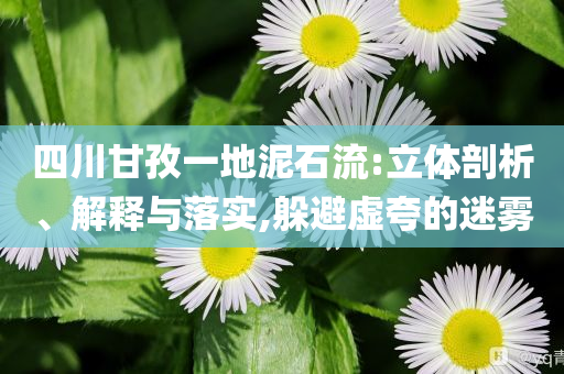 四川甘孜一地泥石流:立體剖析、解釋與落實(shí),躲避虛夸的迷霧