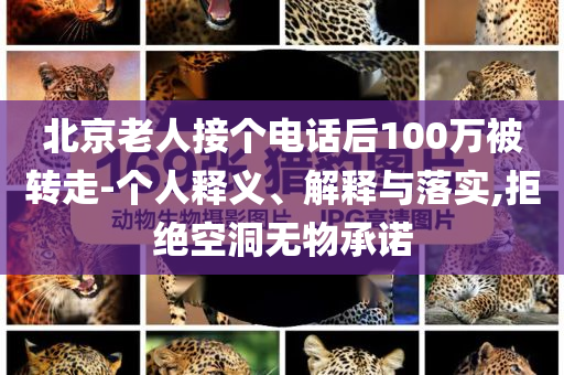 北京老人接個(gè)電話后100萬被轉(zhuǎn)走-個(gè)人釋義、解釋與落實(shí),拒絕空洞無物承諾