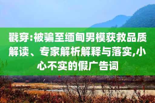 戳穿:被騙至緬甸男模獲救品質(zhì)解讀、專家解析解釋與落實(shí),小心不實(shí)的假廣告詞