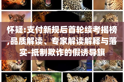 懷疑:支付新規(guī)后首輪續(xù)考揭榜,品質(zhì)解讀、專家解讀解釋與落實-抵制欺詐的假誘導旗