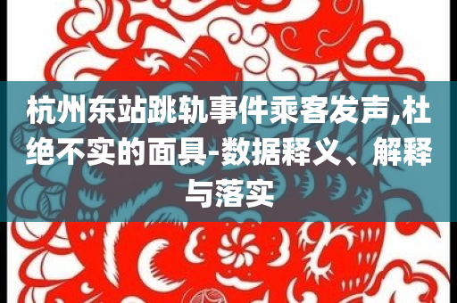杭州東站跳軌事件乘客發(fā)聲,杜絕不實的面具-數(shù)據(jù)釋義、解釋與落實