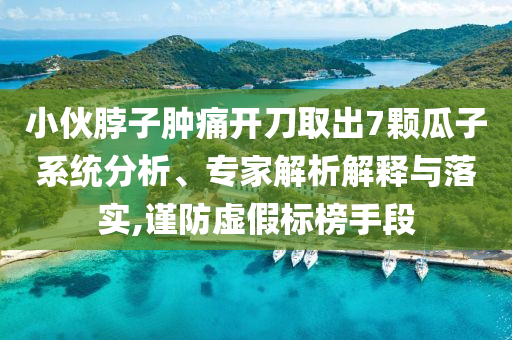 小伙脖子腫痛開刀取出7顆瓜子系統(tǒng)分析、專家解析解釋與落實(shí),謹(jǐn)防虛假標(biāo)榜手段