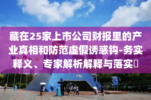 藏在25家上市公司財(cái)報(bào)里的產(chǎn)業(yè)真相和防范虛假誘惑鉤-務(wù)實(shí)釋義、專家解析解釋與落實(shí)?