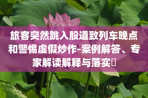 旅客突然跳入股道致列車晚點和警惕虛假炒作-案例解答、專家解讀解釋與落實?