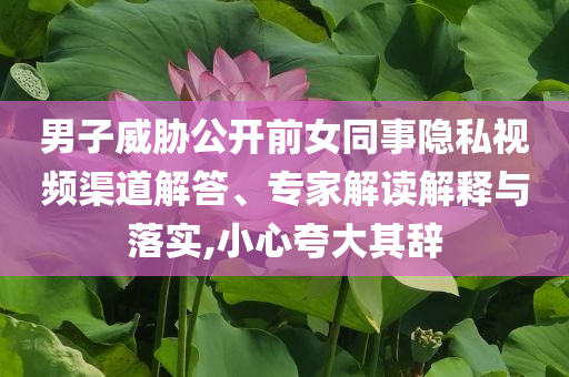 男子威脅公開前女同事隱私視頻渠道解答、專家解讀解釋與落實(shí),小心夸大其辭