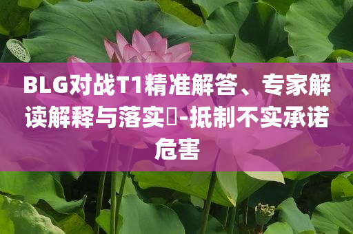 BLG對戰(zhàn)T1精準(zhǔn)解答、專家解讀解釋與落實(shí)?-抵制不實(shí)承諾危害