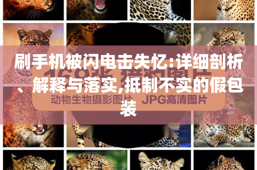 刷手機被閃電擊失憶:詳細(xì)剖析、解釋與落實,抵制不實的假包裝