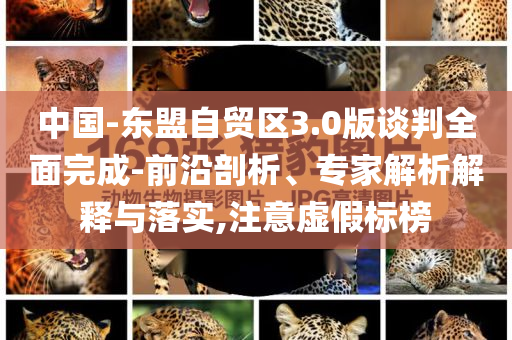 中國-東盟自貿(mào)區(qū)3.0版談判全面完成-前沿剖析、專家解析解釋與落實(shí),注意虛假標(biāo)榜