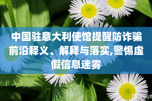 中國(guó)駐意大利使館提醒防詐騙前沿釋義、解釋與落實(shí),警惕虛假信息迷霧