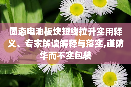 固態(tài)電池板塊短線拉升實用釋義、專家解讀解釋與落實,謹(jǐn)防華而不實包裝