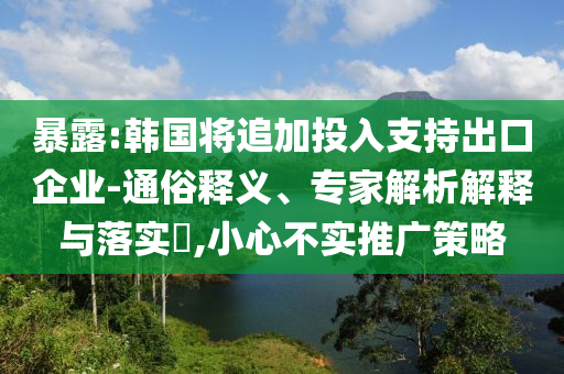暴露:韓國將追加投入支持出口企業(yè)-通俗釋義、專家解析解釋與落實?,小心不實推廣策略