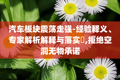 汽車板塊震蕩走強-經(jīng)驗釋義、專家解析解釋與落實?,拒絕空洞無物承諾