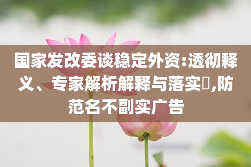 國家發(fā)改委談穩(wěn)定外資:透徹釋義、專家解析解釋與落實(shí)?,防范名不副實(shí)廣告