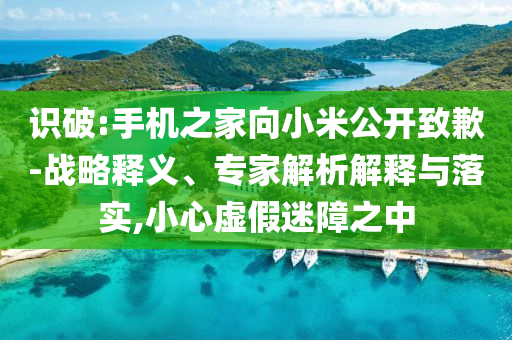 識破:手機之家向小米公開致歉-戰(zhàn)略釋義、專家解析解釋與落實,小心虛假迷障之中