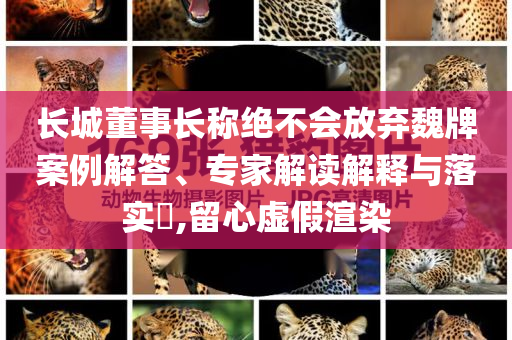 長(zhǎng)城董事長(zhǎng)稱(chēng)絕不會(huì)放棄魏牌案例解答、專(zhuān)家解讀解釋與落實(shí)?,留心虛假渲染