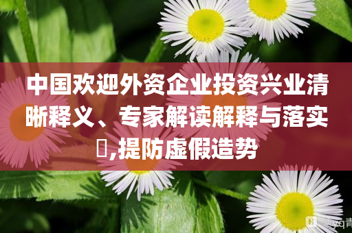 中國歡迎外資企業(yè)投資興業(yè)清晰釋義、專家解讀解釋與落實(shí)?,提防虛假造勢