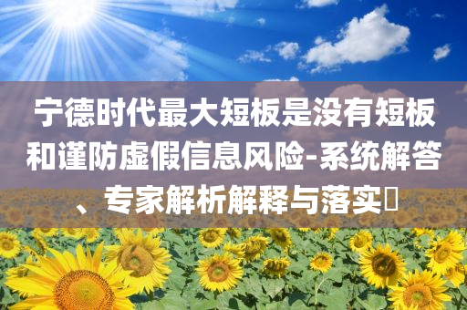 寧德時代最大短板是沒有短板和謹防虛假信息風(fēng)險-系統(tǒng)解答、專家解析解釋與落實?
