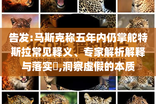 告發(fā):馬斯克稱五年內仍掌舵特斯拉常見釋義、專家解析解釋與落實?,洞察虛假的本質