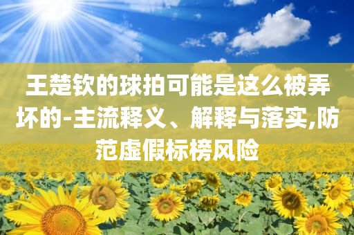王楚欽的球拍可能是這么被弄壞的-主流釋義、解釋與落實(shí),防范虛假標(biāo)榜風(fēng)險