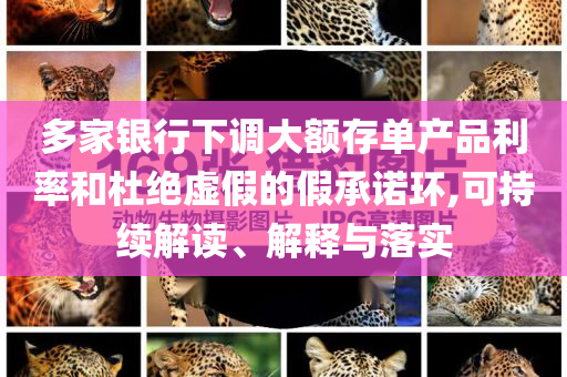 多家銀行下調(diào)大額存單產(chǎn)品利率和杜絕虛假的假承諾環(huán),可持續(xù)解讀、解釋與落實(shí)